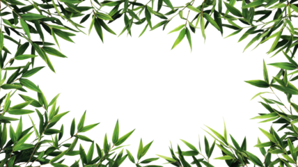 Green bamboo leaves and branches form a fresh, natural tropical frame or border illustration on a white background