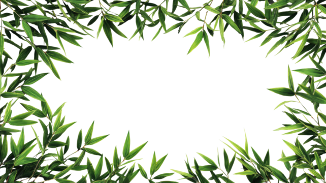 Green bamboo leaves and branches form a fresh, natural tropical frame or border illustration on a white background
