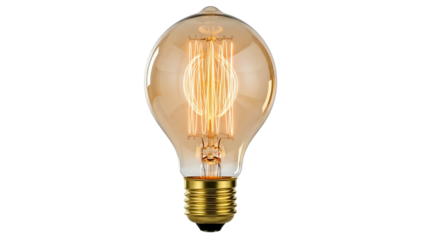 A lit, vintage-style light bulb against a stark black background, showcasing intricate filaments