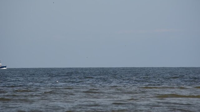 Fishing boat going home, gulf of Riga, Baltic sea.