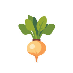 Yellow turnip root vegetable with green leaves, isolated flat style vector illustration