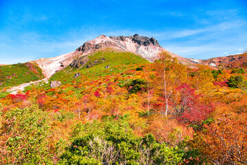 栃木県那須郡那須町　秋の紅葉に染まる姥ヶ平と茶臼岳