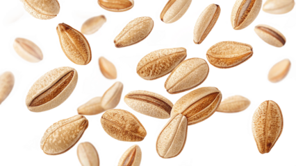 High-detail falling sesame seeds floating  on transparent background.