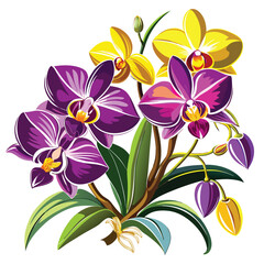 Beautiful purple and yellow orchid flowers for illustration