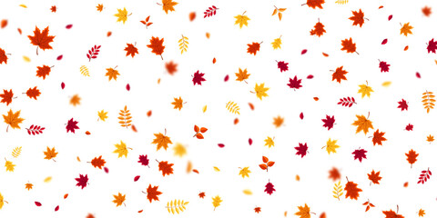 Autumn flying and falling leaves background with colorful seasonal foliage in red, orange, and yellow. Perfect for nature themes, seasonal sales, posters. Vector illustration