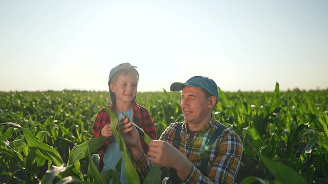 Father kneels on ground with boy beside him on peaceful field teaching how to check corn leaf. Boy touches leaf while father explains farm process. Father shares rural corn knowledge teaching child.