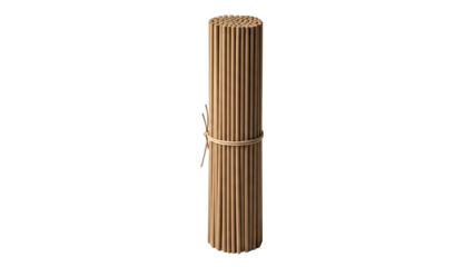 Vertical bundle of tan-colored, slender sticks held together by a thin, light-colored tie