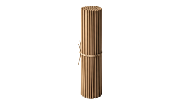 Vertical bundle of tan-colored, slender sticks held together by a thin, light-colored tie