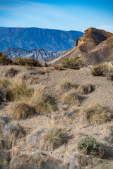 The Arid, Dry Terrain of the Tabernas Desert, Andalusia, Illustrating Growing Desertification in...
