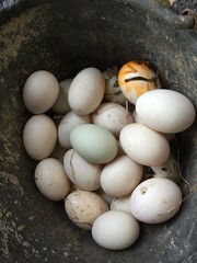 Natural Duck Eggs in Black Plastic Container