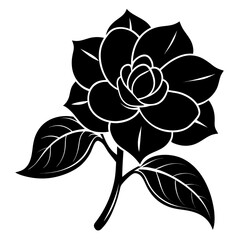 Gardenia vector clean black silhouette design white background