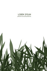 Summer- poster template design universal use