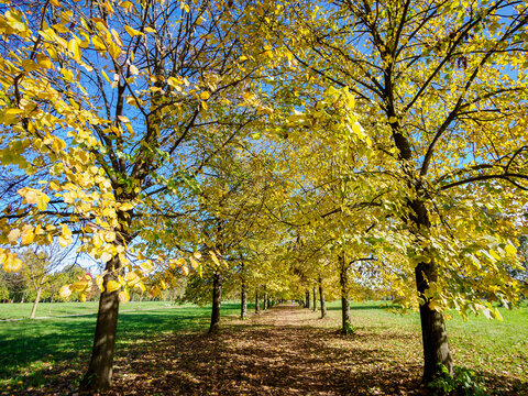 The Monza park at October