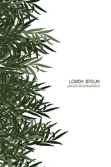 Summer- poster layered template design