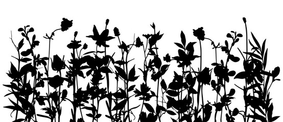 Silhouettes of spring-, summer- glade. Black basis for design on white background universal