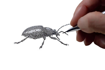Hand drawing a beetle with stippling technique isolated on transparent background