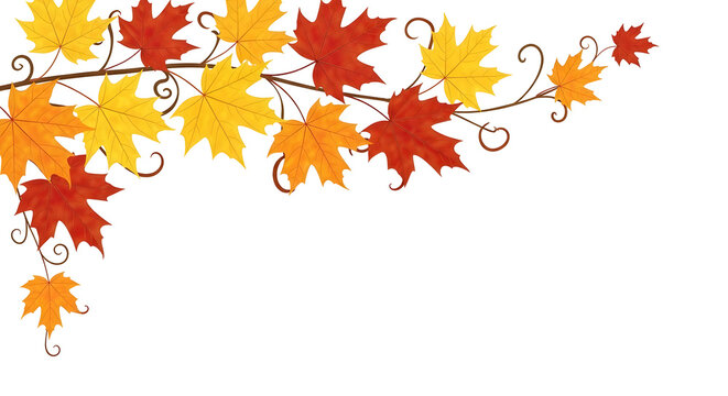Elegant autumn corner border with swirling vines and colorful red, orange, and yellow maple leaves