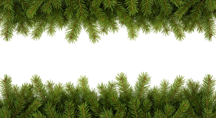 Festive fir branches frame a white background, perfect for holiday greetings and winter decor