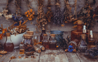 Medicinal herbs and tinctures homeopathy. Selective focus.