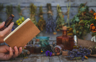 Medicinal herbs and tinctures homeopathy. Selective focus.