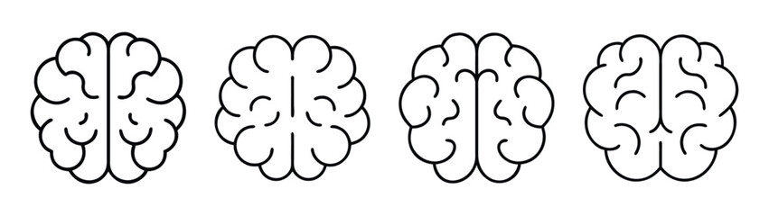 Brain anatomy illustration for medical education and neuroscience research study diagram design