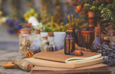 Medicinal herbs and tinctures homeopathy. Selective focus.