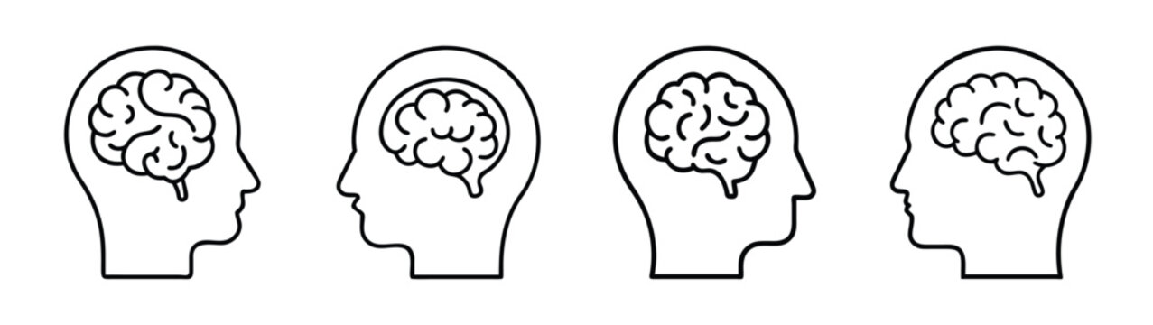 Brain health illustration showing human head with brain inside concept for mental wellness idea