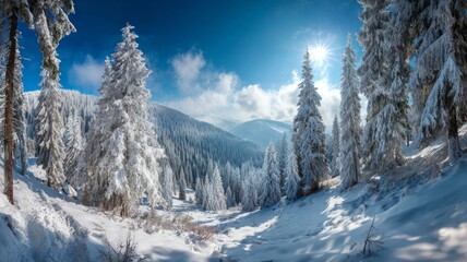 Panoramic view of a snow-covered forest in the ukrainian carpathians with sunlight illuminating winter mountains and frosted pine trees under a clear blue sky