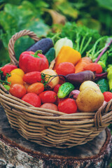 Harvest vegetables in the garden. Selective focus.
