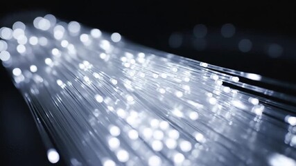 Illuminated Fiber Optic Cables A HighTech Network of Light Transmitting Data Ideal for Telecommunications Internet Connectivity and Modern Technology Visuals.