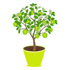 Apple tree with fruits in a pot on a white background..eps