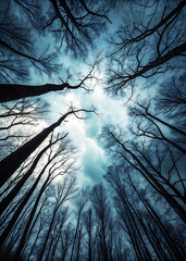 Ethereal Sky Over Desolate Forest