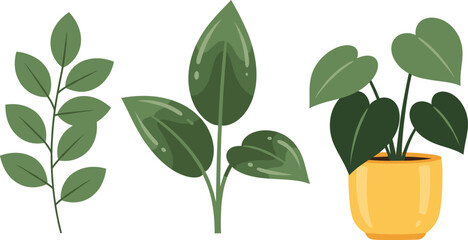 Minimal indoor houseplant vector set featuring green leafy plants in modern flat style, perfect for home decor, interior design, and botanical illustrations.