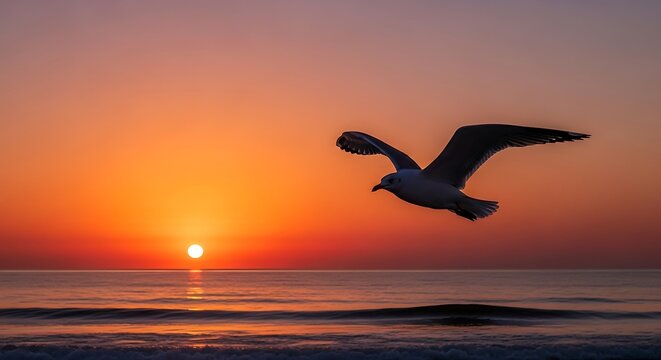 A seagull soars in flight against a backdrop of a vibrant orange and red sunset over calm ocean waters