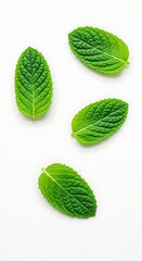 Fresh mint leaves on white background close up top view
