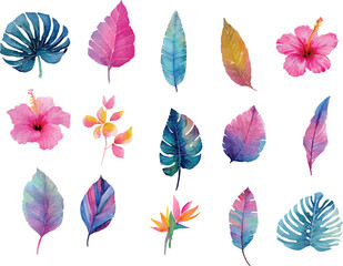 set of colorful hibiscus flowers and leaf