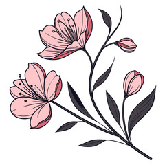 Elegant pink cherry blossom branch, line art style