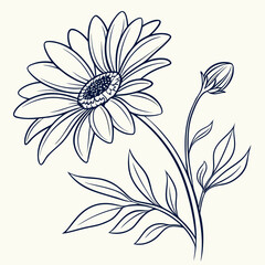 Hand drawn daisy flower, vector illustration