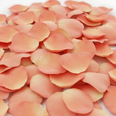 Pile of delicate peach colored rose petals abstract close up view