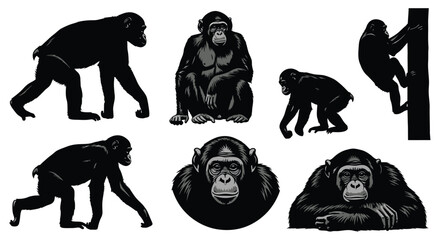 Chimpanzee silhouettes in different poses, walking, sitting, and climbing
