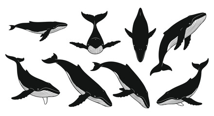 Whale silhouettes in various poses and angles