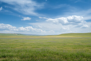 Fototapeta premium vast prairie where lavender rows meet endless skies, with soft clouds floating above
