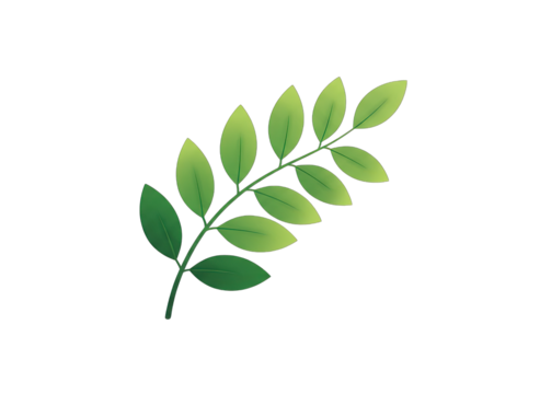 A delicate green leaf branch illustration with a smooth gradient on a transparent background perfect for organic branding and natural designs