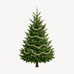Obraz premium Decorated evergreen Christmas tree