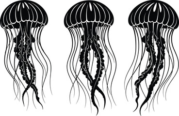 Detailed black silhouette collection of swimming jellyfish, marine life vector illustration for ocean theme design, tattoo art, and scientific biology print.