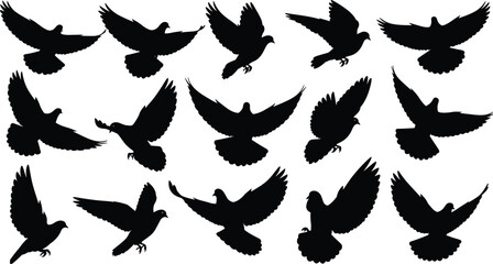 Set of flying pigeon silhouettes, black dove vector illustrations, birds in flight, symbols of peace, freedom, religion, wedding decoration, and nature wildlife design.