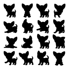 Different poses of playful chihuahuas showcased in black silhouette style against a white background