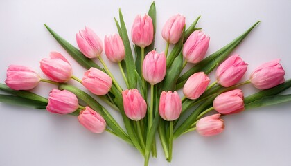 Obraz premium Arrangement Of Pink Tulips With Green Stems On A White Background Creating A Symmetrical Design