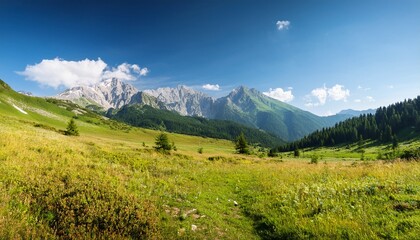 Fototapeta premium Aramiyska Meadow And Distant Peaks Vihren Kutelo Carna Mogila On A Sunny Summer Day