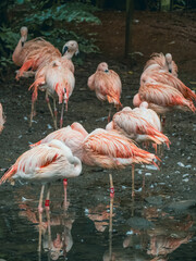 台北市立動物園